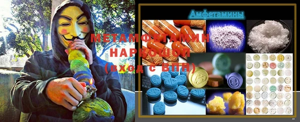 сатива Новозыбков