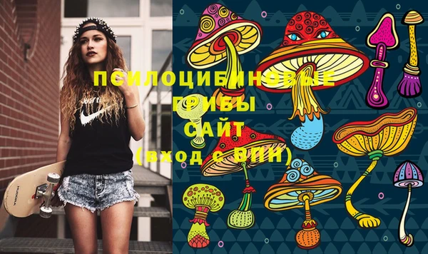 винт Алексеевка
