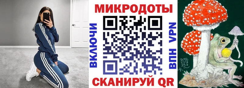 Галлюциногенные грибы Psilocybe  Норильск 